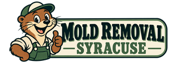 Mold Removal Syracuse